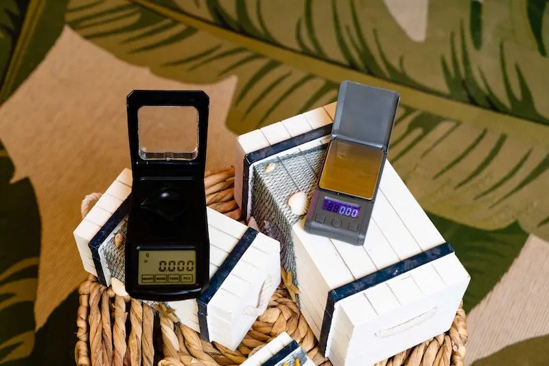 Discover Teeter Totter Scales