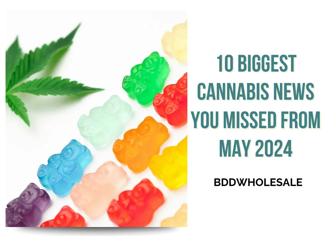 10 Biggest Cannabis News You Missed from May 2024