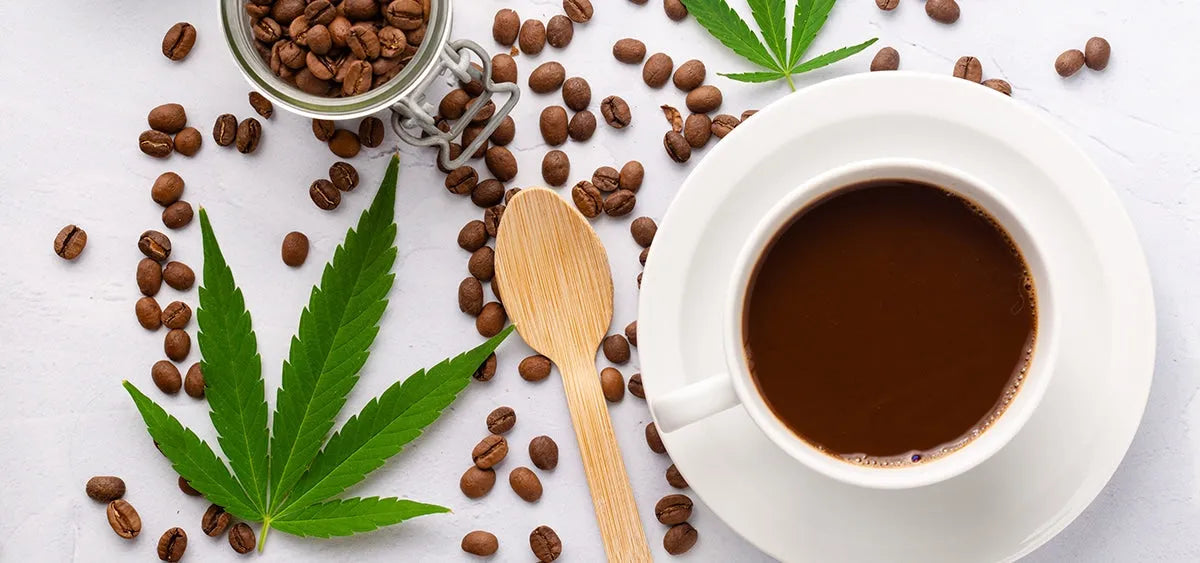10 Biggest Cannabis News You Missed from October 2024