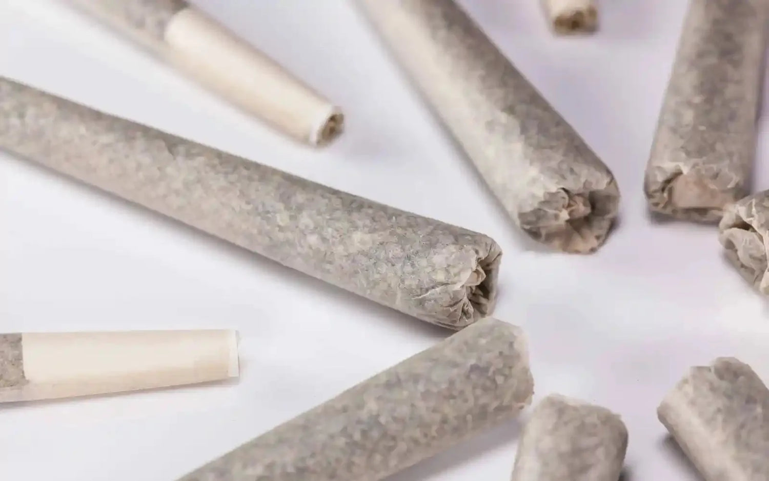 The 10 Biggest Cannabis Industry News you missed, June 2023 Edition.