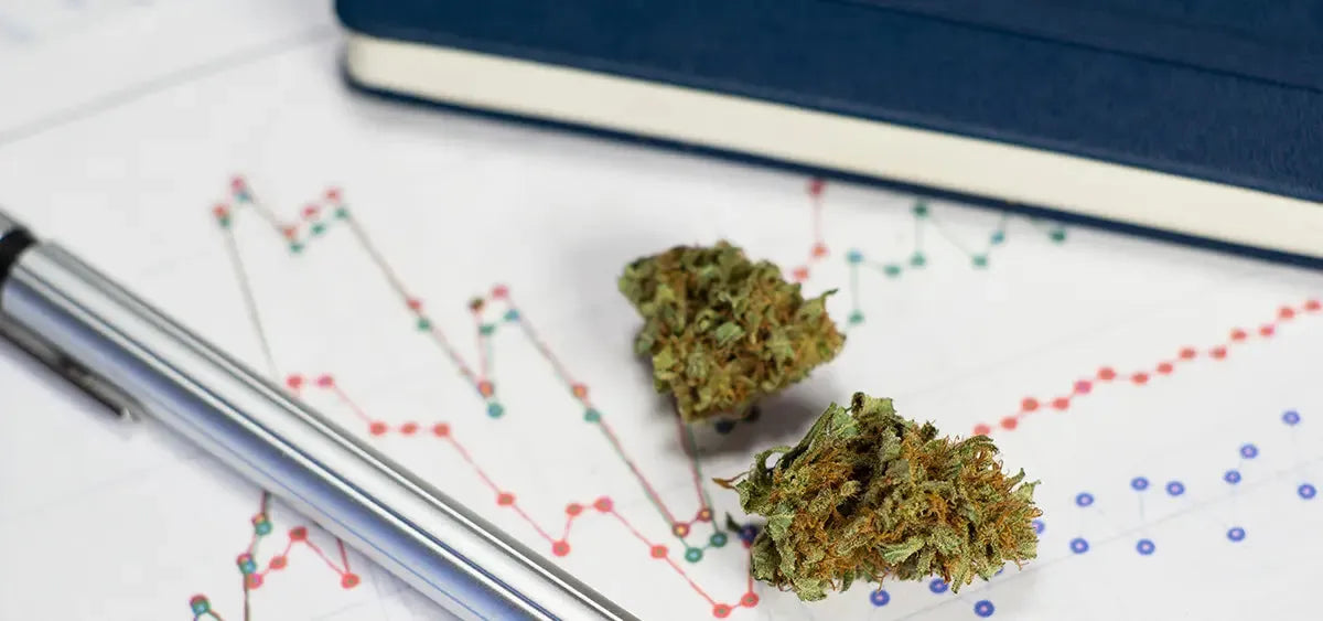 10 Biggest Cannabis News You Missed from September 2024