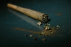 Recent Cannabis News You Missed