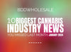 The 10 Biggest Cannabis Industry News you missed Last Month. January 2024.