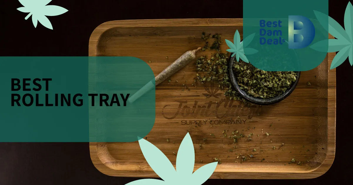 How to Choose the Best Rolling Tray? (+Best Rolling Trays for Different Needs)