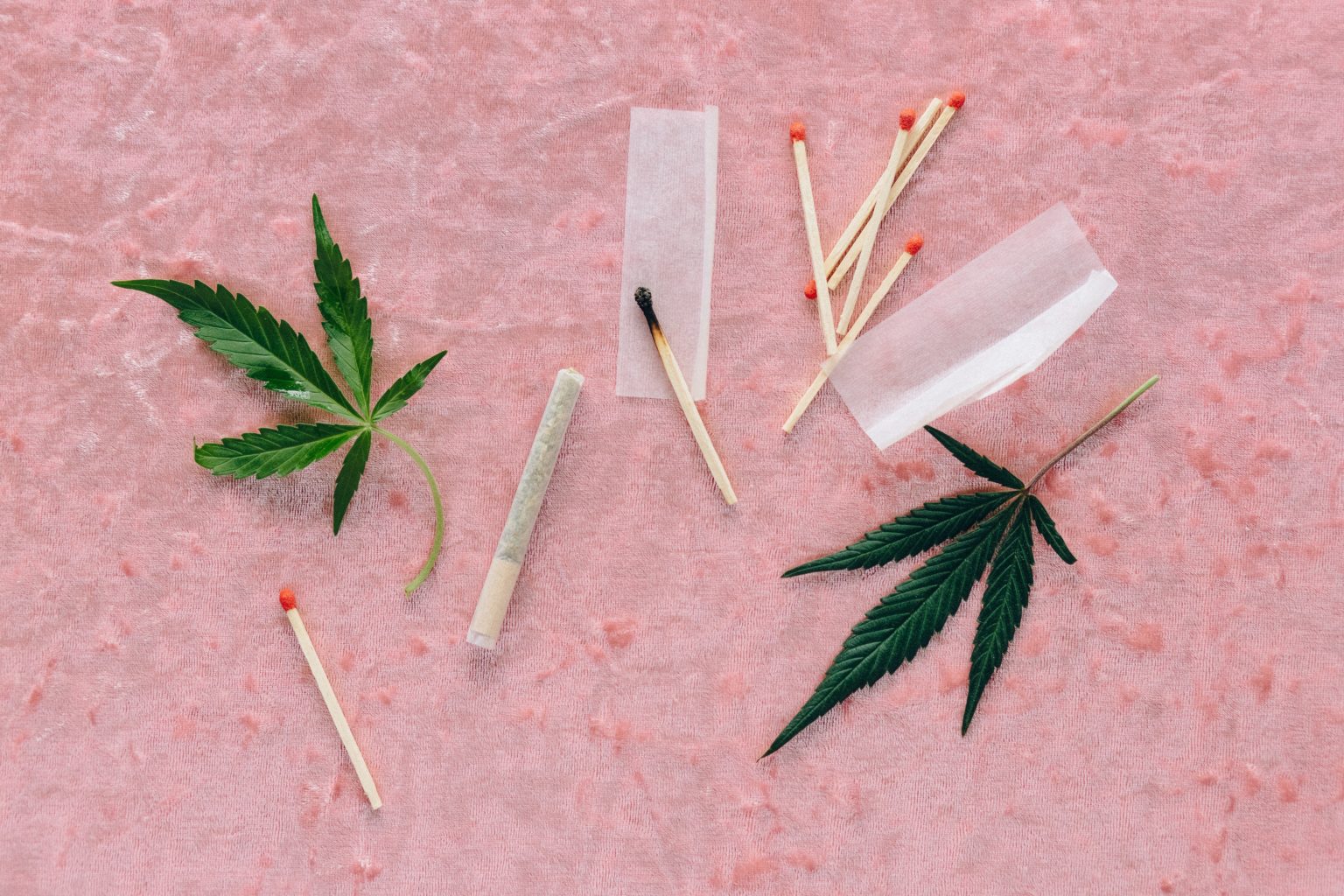 The 10 Biggest Cannabis Industry News you missed Last Month.