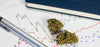 10 Biggest Cannabis News You Missed from September 2024