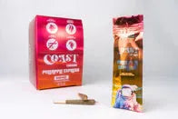 HHC 1 Gram Cones  By COAST SMOKES