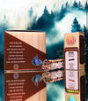 Sage (Display of 6)