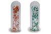 Plants in Capsule Glass Pipe